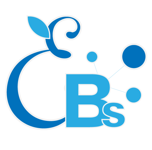 Ennih’Business Services (Ennih’Bs)